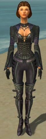 File:Mesmer Elite Rogue Armor F gray front.jpg