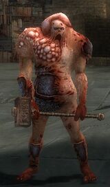 Afflicted Warrior