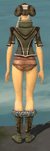 File:Monk Kurzick Armor F gray chest feet back.jpg