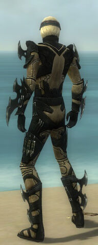 File:Assassin Kurzick Armor M dyed back.jpg