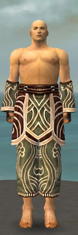 File:Monk Canthan Armor M gray arms legs front.jpg