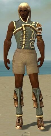 File:Ranger Shing Jea Armor M gray chest feet front.jpg
