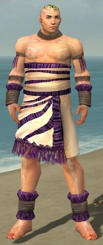 File:Monk Istani Armor M dyed front.jpg