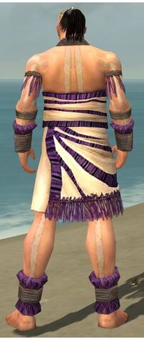 File:Monk Istani Armor M dyed back.jpg