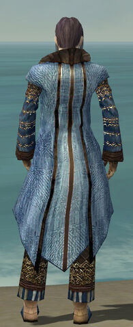File:Elementalist Vabbian Armor M dyed back.jpg