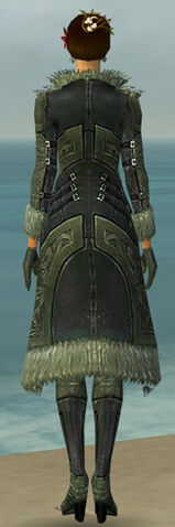 File:Mesmer Kurzick Armor F gray back.jpg