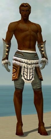 File:Ranger Canthan Armor M gray arms legs front.jpg