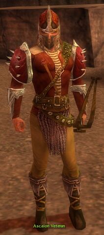 File:Ascalon Veteran.jpg