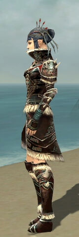 File:Necromancer Norn Armor F gray side.jpg