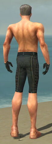 File:Mesmer Elite Rogue Armor M gray arms legs back.jpg
