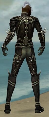 File:Necromancer Shing Jea Armor M gray back.jpg