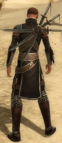 File:Anton Armor Brotherhood Back.jpg