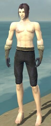 File:Elementalist Norn Armor M gray arms legs front.jpg
