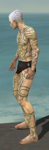 File:Necromancer Scar Pattern Armor M gray side.jpg