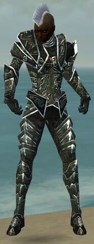 File:Necromancer Fanatic Armor M gray front.jpg