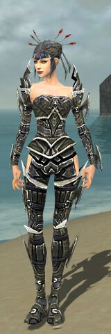 File:Necromancer Elite Profane Armor F gray front.jpg