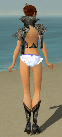 File:Elementalist Elite Kurzick Armor F gray chest feet back.jpg