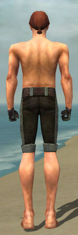 File:Mesmer Tyrian Armor M gray arms legs back.jpg