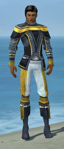 File:Elementalist Luxon Armor M dyed front.jpg