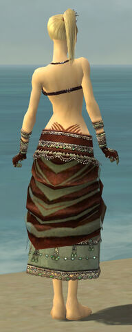 File:Ritualist Exotic Armor F gray arms legs back.jpg