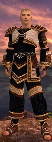 File:Light cleric.jpg