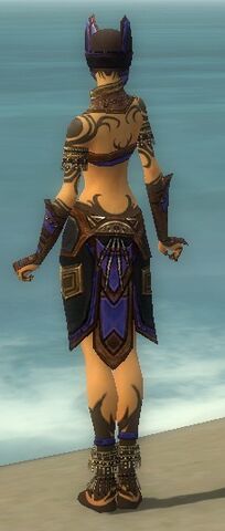 File:Ritualist Monument Armor F dyed back.jpg