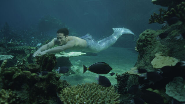 File:Zac swimming.jpg