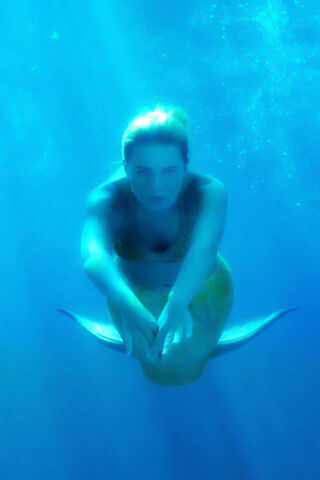 File:Bella Blue.jpg