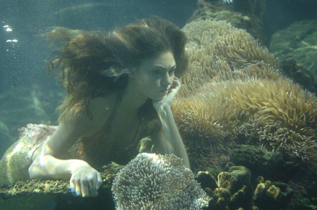 File:Cleo-h2o-just-add-water-9192769-1024-768.jpg