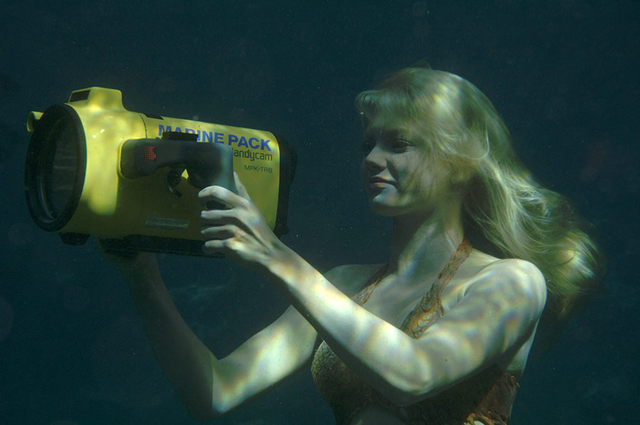 File:Rikki Filming Sharks.png