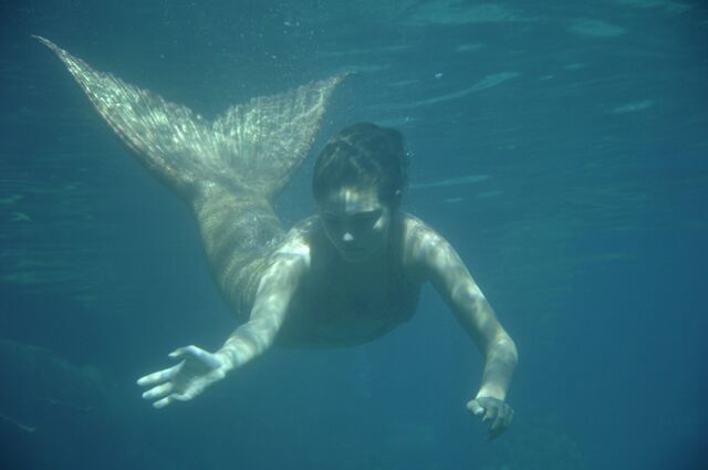 File:Cleo Swimming.jpg