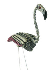 Zombie Flamingo
