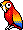 Small pirate parrot
