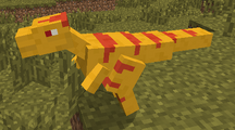 Raptor
