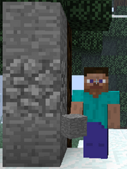 Steve