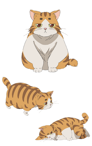 File:Img main01.png