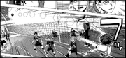 Oikawa armada larga