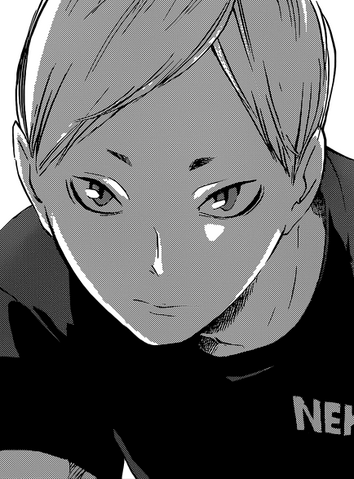 Plik:Haiba.png