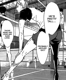 Haiba.png