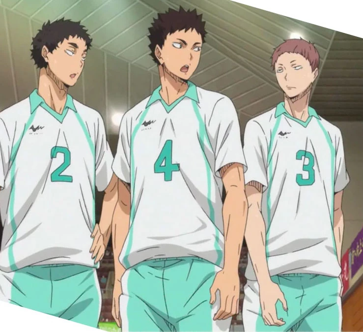 Image MatsukawaIwaizumiHanamaki0.jpg Haikyuu!! Wiki FANDOM powered by Wikia