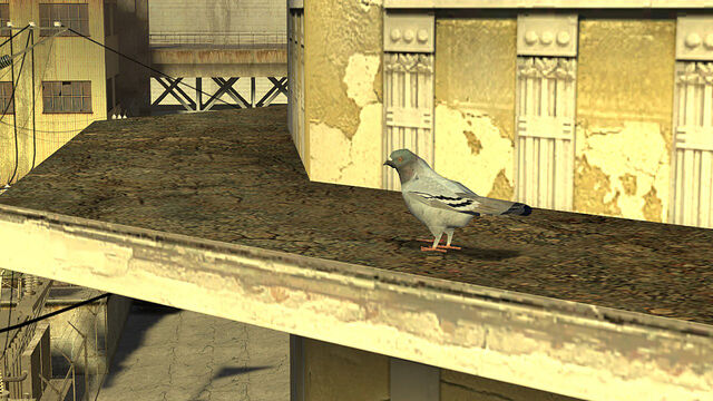 File:Pigeon roof.jpg