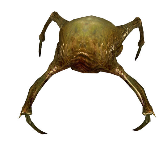 File:Headcrab fast beta.jpg