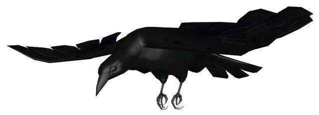 File:Birdbirdbird.jpg