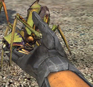 파일:Bugspawn.png