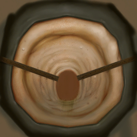 File:Face1.png