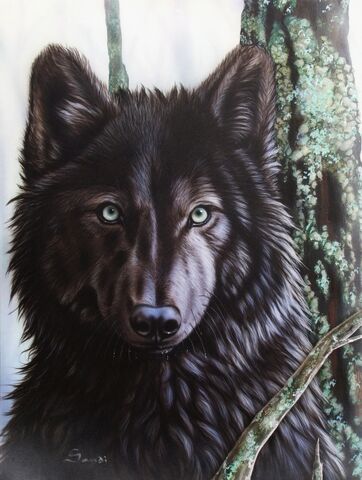 File:Black-wolf-sandi-baker.jpg