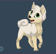 Evan Pup
