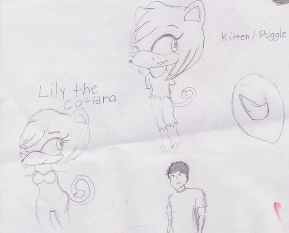 File:LilyShizz.jpg