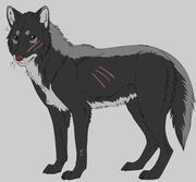 Darkstorm wolf