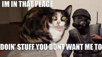 Lolcatplayer